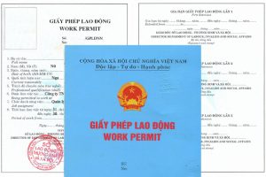 Services on granting work permits to foreigners in Vietnam