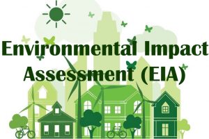 Investment projects must carry out environmental impact asseessment from January 1, 2022