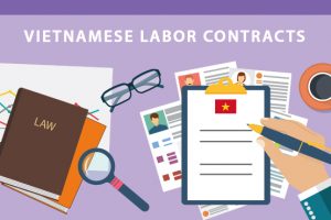 Consult on the draft and review of labor contracts
