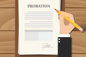 Consulting service on new regulations of probation contracts