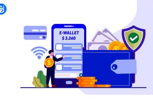 State bank inspection and supervision with e-wallet service
