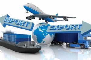Service of applying for a license for temporary export and re-import