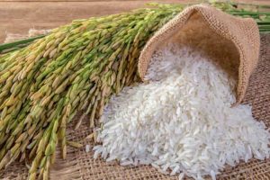 Service of applying for a Certificate of eligibility for rice export business