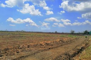 Land Rights in Vietnam – What They Are and How You Can Acquire Land