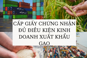 CẤP GIẤY CHỨNG NHẬN ĐỦ ĐIỀU KIỆN KINH DOANH XUẤT KHẨU GẠO