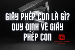 Giấy phép con là gì? Quy định về giấy phép con