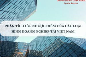 Phân tích ưu và nhược điểm của các loại hình doanh nghiệp tại Việt Nam