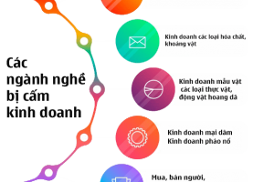 Ngành, nghề cấm đầu tư kinh doanh theo Luật đầu tư 2020