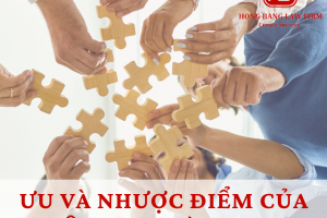 Ưu và nhược điểm của công ty hợp danh