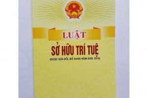 Phạm vi điều chỉnh, đối tượng áp dụng trong Luật sở hữu trí tuệ