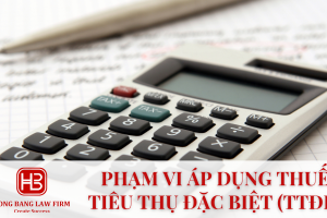 Phạm vi áp dụng thuế tiêu thụ đặc biệt (TTĐB)