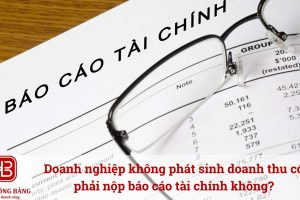 Doanh nghiệp không phát sinh doanh thu có phải nộp báo cáo tài chính không?