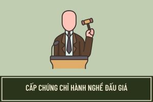 Thủ tục xin cấp Chứng chỉ hành nghề đấu giá