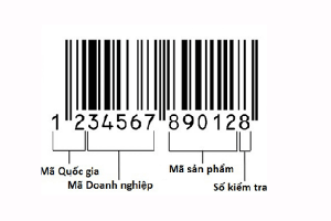 Thủ tục xin cấp Giấy chứng nhận quyền sử dụng mã số, mã vạch