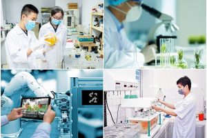 THỦ TỤC CẤP GIẤY CHỨNG NHẬN DOANH NGHIỆP KHOA HỌC VÀ CÔNG NGHỆ