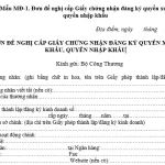 CẤP GIẤY CHỨNG NHẬN ĐĂNG KÝ QUYỀN XUẤT KHẨU, QUYỀN NHẬP KHẨU CỦA THƯƠNG NHÂN NƯỚC NGOÀI KHÔNG CÓ HIỆN DIỆN TẠI VIỆT NAM