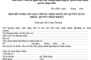 CẤP GIẤY CHỨNG NHẬN ĐĂNG KÝ QUYỀN XUẤT KHẨU, QUYỀN NHẬP KHẨU CỦA THƯƠNG NHÂN NƯỚC NGOÀI KHÔNG CÓ HIỆN DIỆN TẠI VIỆT NAM