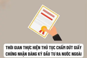 THỦ TỤC CHẤM DỨT HIỆU LỰC GIẤY CHỨNG NHẬN ĐĂNG KÝ ĐẦU TƯ RA NƯỚC NGOÀI