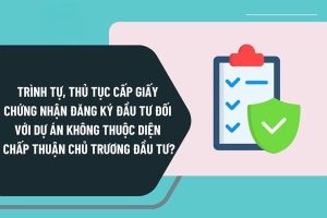 THỦ TỤC CẤP GIẤY CHỨNG NHẬN ĐĂNG KÝ ĐẦU TƯ ĐỐI VỚI DỰ ÁN KHÔNG THUỘC DIỆN CHẤP THUẬN CHỦ TRƯƠNG ĐẦU TƯ