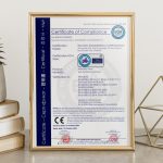 Thực hiện thủ tục Xin Cấp chứng thư xuất khẩu (C/E)