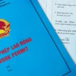 Dịch vụ cấp lại giấy phép lao động cho người nước ngoài nhanh chóng