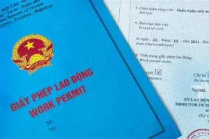 Dịch vụ cấp lại giấy phép lao động cho người nước ngoài nhanh chóng